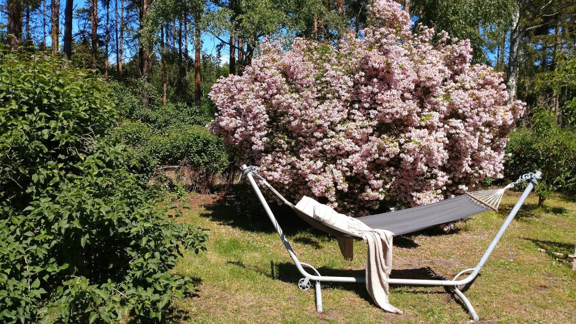 Oesterlencharm Löderup Eksteriør billede